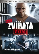 DVD produkce